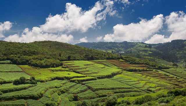 उधगममंडलम, ऊटी तमिलनाड़ू के ट्रेकिंग स्थल