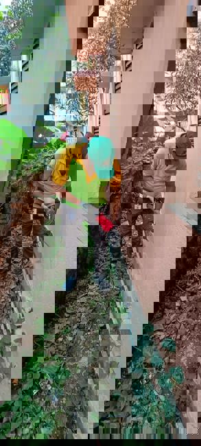 Review of Ma Pest Control LLP by Ayan Das